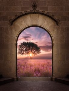 Tuindoek Lavendeltuin Met Mooie Uitzicht- Tuinposter Bloem - Tuindecoratie Deur