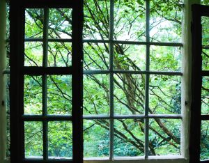  Tuindoek Uitzicht op het Bos Vanuit Het Raam - Tuinposter Bomen - Buitenposter