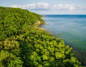 Tuindoek Bos en Zee Samen - Tuin Poster Buiten - Buitenposter