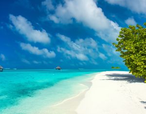 Tuindecoratie- Tuindoek Malediven- Tuinposter Zee