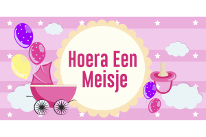 Hoera Een Meisje Roze Spandoek