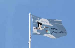 Hoera Een Jongen Vlag -2