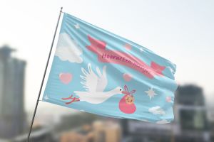 Hoera Een Meisje vlag -2