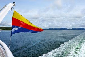 Puntvlag Noord-Holland