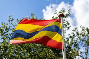 Vlag Overijssel