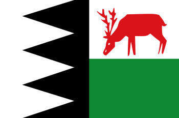 Vlag van Bruinisse
