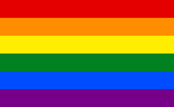 Regenboogvlag met zes kleuren